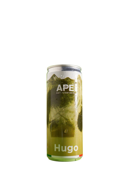 APE Get Together - Hugo